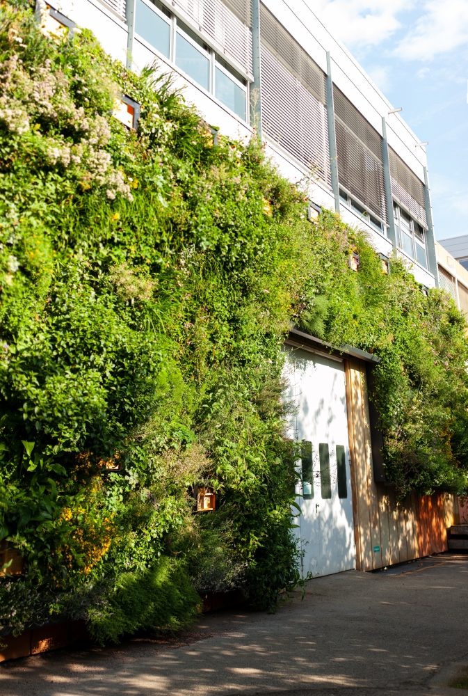 The wild climate wall: an innovative green system for cities
